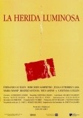 La herida luminosa movie in Mercedes Sampietro filmography.