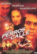 Como perros de la calle is the best movie in Flavio Peniche filmography.