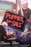 Puppies for Sale movie in Jack Lemmon filmography.