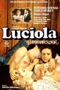 Luciola, o Anjo Pecador movie in Rossana Ghessa filmography.