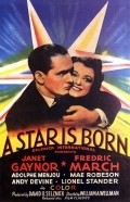 A Star Is Born movie in William A. Wellman filmography.