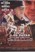 Entre las patas de los caballos movie in Fernando Casanova filmography.