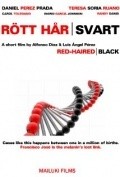Rott Har Svart is the best movie in Daniel Perez Prada filmography.
