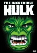 The Incredible Hulk is the best movie in Ron Feinberg filmography.
