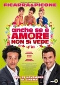 Anche se e amore non si vede is the best movie in Diane Fleri filmography.