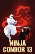 Ninjas, Condors 13 is the best movie in Ehoud Pazy filmography.