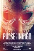 Pulse of the Indigo is the best movie in Eugene Alper filmography.