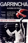 Garrincha - Alegria do Povo is the best movie in Garrincha filmography.