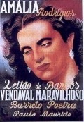 Vendaval Maravilhoso is the best movie in Maria Albertina filmography.