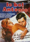 Il bell'Antonio movie in Mauro Bolognini filmography.