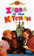 Zebra in the Kitchen movie in Jim Davis filmography.