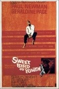 Sweet Bird of Youth movie in Richard Brooks filmography.