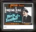 Birds of a Feather movie in Sammy Brooks filmography.