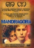 Mandragora movie in Wiktor Grodecki filmography.