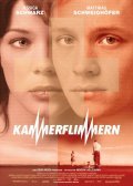 Kammerflimmern movie in Hendrik Holzemann filmography.