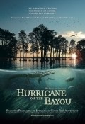 Hurricane on the Bayou movie in Greg MacGillivray filmography.