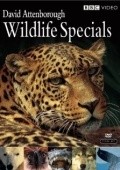 Wildlife Specials movie in David Attenborough filmography.