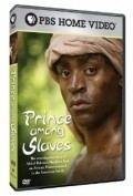 Prince Among Slaves is the best movie in Bryus Holms filmography.