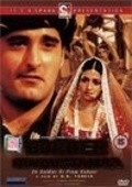 Border Hindustan Ka movie in Ashish Vidyarthi filmography.