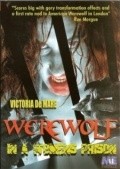 Werewolf in a Women's Prison movie in Jeff Leroy filmography.