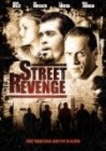 Street Revenge movie in Raine Brown filmography.