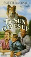 The Sun Comes Up movie in Margaret Hamilton filmography.