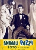 Animali pazzi movie in Carlo Ludovico Bragaglia filmography.