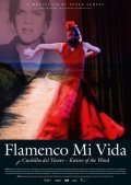 Flamenco mi vida - Knives of the wind is the best movie in Mariya Serrano filmography.