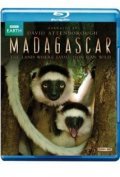 Madagascar movie in Selli Tomson filmography.