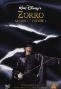 Zorro movie in Vinton Hayworth filmography.