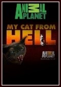 My Cat from Hell movie in Bethany «Rose» Hill filmography.