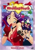 Wedding Peach movie in Kunihiko Yuyama filmography.