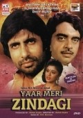 Yaar Meri Zindagi movie in Amitabh Bachchan filmography.