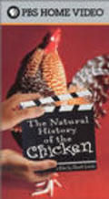 The Natural History of the Chicken is the best movie in Djon Kogge filmography.