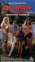 Baywatch: Forbidden Paradise movie in Alexandra Paul filmography.