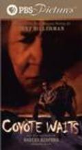 Coyote Waits movie in Wes Studi filmography.