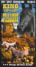 King of the Stallions movie in Dave O\'Brien filmography.