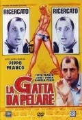 La gatta da pelare is the best movie in Giancarlo Magalli filmography.