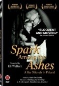 Spark Among the Ashes: A Bar Mitzvah in Poland movie in Oren Rudavsky filmography.