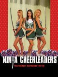 Ninja Cheerleaders movie in David Presley filmography.
