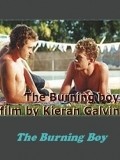 The Burning Boy movie in Kieran Galvin filmography.