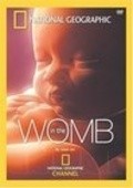 Life Before Birth movie in Toby MacDonald filmography.