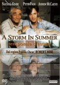 A Storm in Summer movie in Robert Wise filmography.