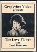 The Love Flower movie in D.W. Griffith filmography.