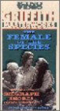 The Female of the Species movie in Claire McDowell filmography.
