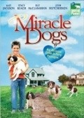 Miracle Dogs movie in Josh Hutcherson filmography.
