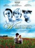 Wildflower movie in Diane Keaton filmography.
