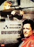 Supreme Sanction movie in John Terlesky filmography.