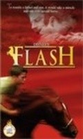 Flash is the best movie in Dan Biggers filmography.