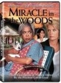 Miracle in the Woods is the best movie in Patricia Heaton filmography.